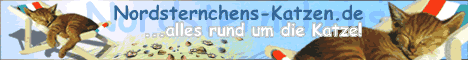 Nordsternchen