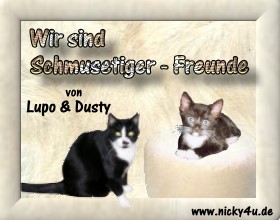 Wir sind Freunde von Dusty und Lupo