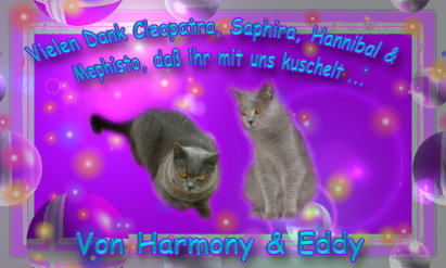 Kuscheldecke von Harmony und Eddy