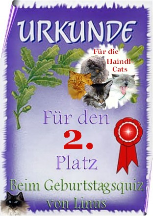 Vielen Dank!