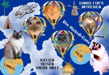 Katzen reisen um die Welt