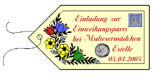 Estelle bekommt ein neues Zuhause