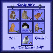 Kuscheldecke der Katzen-WG