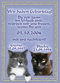 Party bei Gizmo und Blacky