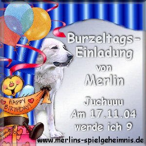 Merlin's Party
