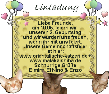 Fraukes Fellbande und die Malakai Shiba's feiern gemeinsam!