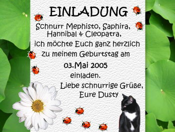 Wir kommen gerne!