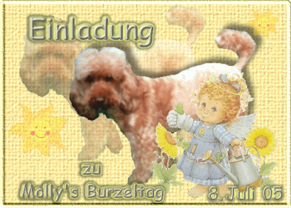 Wir kommen!