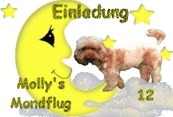 Ui, das klingt aufregend!