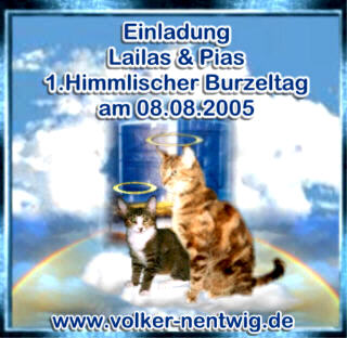 Wir kommen gerne!