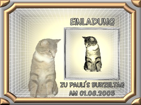 Wir freuen uns!