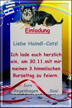 Vielen lieben Dank!