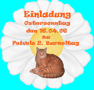 Wir kommen gerne!
