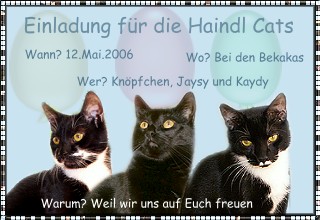 Das wird herrlich!