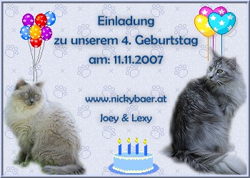 Hurra, Joey und Lexy feiern wieder gemeinsam!