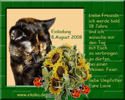 Wir kommen gerne!