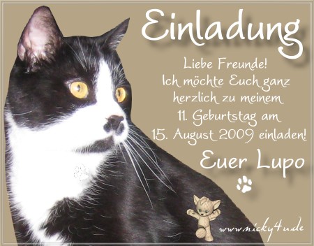 Wir kommen gerne!