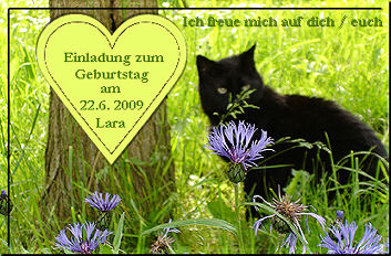 Wir freuen uns!