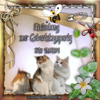 Wir kommen gerne!