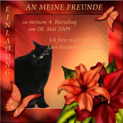 Wir freuen uns!