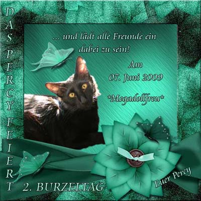 Wir freuen uns!
