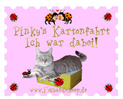 Pinky's Burtzeltags-Kartonfahrt