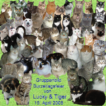 Gruppenfoto bei Lucky und Tiger