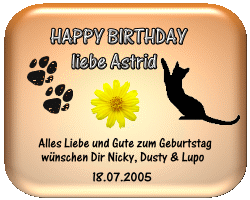 Danke, liebe Nicky und Katzis!