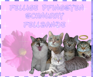 Dankeschön!