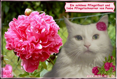 Dankeschön!