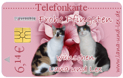 Dankeschön!