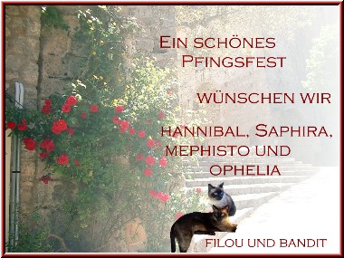 Dankeschön!