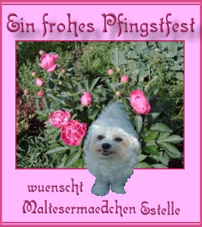 Dankeschön!