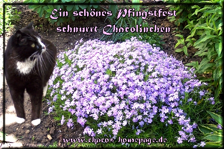 Dankeschön!