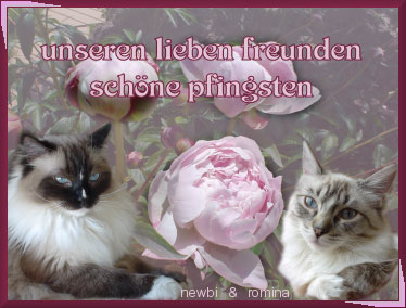 Dankeschön!