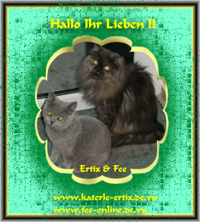 http://www.katerle-ertix.de.vu