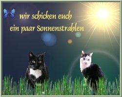 http://www.catsside.de