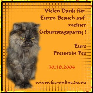 Toll war die Party!