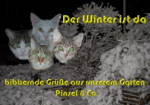 Wer guckt da mitten aus dem Schnee? Pinsel und Mitpfotis