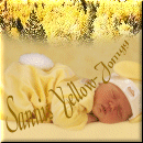 Yellow Jongg von Sanni