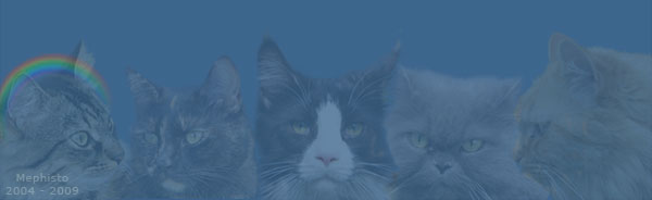 Mephisto, Ophelia, Kennedy, Saphira, Hannibal