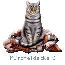 Unsere sechste  Kuscheldecke