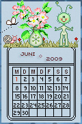 Tagebuch Juni 2009