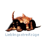 Es gibt viele sch&ouml;ne Seiten, die wir immer gerne besuchen