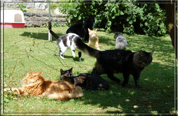 Wir alle gemeinsam im Garten