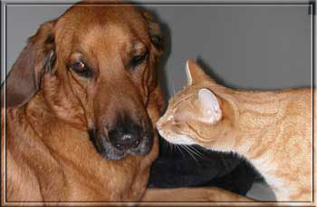 Friends forever - Benji und ich!
