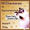 Willkommensflicken von Filia